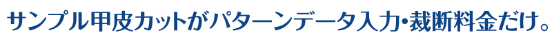 サンプル甲皮カットがパターンデータ入力・裁断料金だけ。
